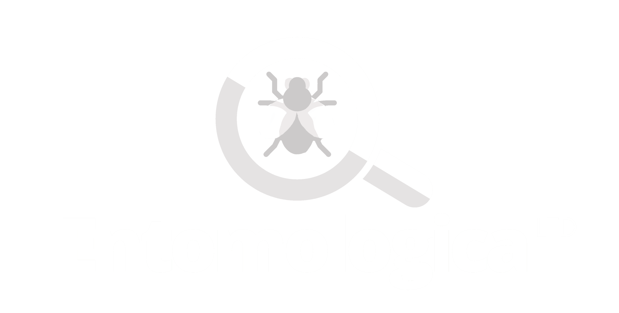 entomologica ecology invertebrate surveyors